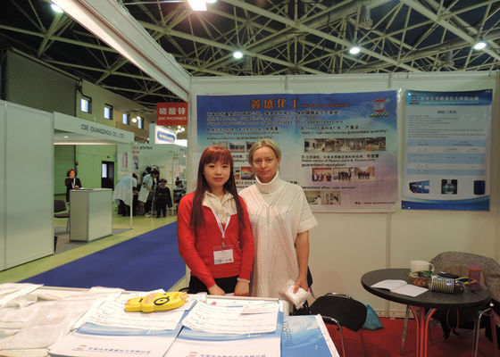 O - Level Zinc Phosphate Pigment CAS7779-90-0 Anti Corrosion & Anti Rust Material